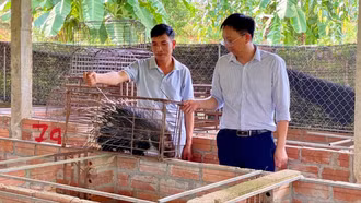 Nghĩa Tâm vững bước trên hành trình xây dựng nông thôn mới