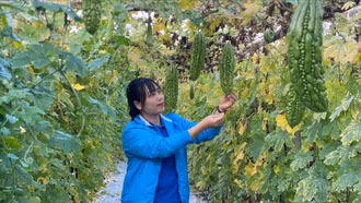 Thủ lĩnh thanh niên tiên phong khởi nghiệp