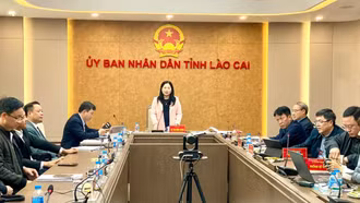 Lào Cai thẩm định phân định vùng dân tộc thiểu số, miền núi, giai đoạn 2026 - 2030