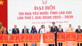 Trường Mầm non Tân Hợp - Ngọn cờ đầu của giáo dục Lào Cai