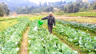 Theo Kế hoạch, tỉnh định hướng phát triển sản xuất trồng trọt theo hướng sinh thái, hiện đại, phát thải thấp.