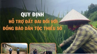 [Infographic] Quy định hỗ trợ đất đai đối với đồng bào dân tộc thiểu số