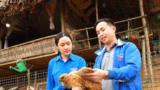  Thanh niên người Tày khởi nghiệp trên núi Đăng Mèo