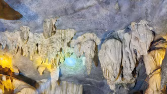 [Ảnh] Khám phá vẻ đẹp động Gốc Găng