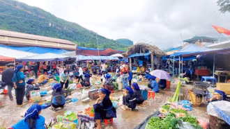 Sớm tháo gỡ khó khăn cho những chợ phiên biên giới khu vực Bát Xát