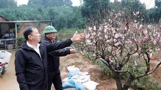 Phường Âu Lâu giải quyết hiệu quả việc làm cho quân nhân xuất ngũ