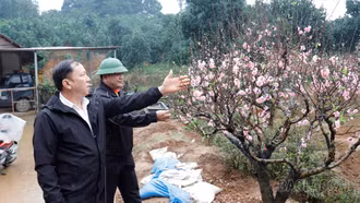 Phường Âu Lâu giải quyết hiệu quả việc làm cho quân nhân xuất ngũ