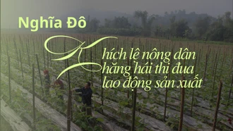 Nghĩa Đô: Khích lệ nông dân hăng hái thi đua lao động sản xuất