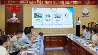 Hướng dẫn doanh nghiệp đăng ký xuất khẩu thực phẩm có nguồn gốc thực vật vào thị trường Trung Quốc