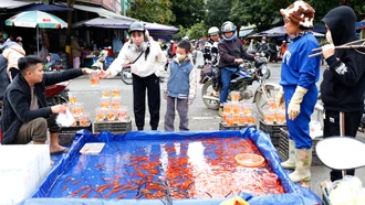 Nhộn nhịp thị trường cá chép đỏ