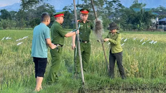 Tịch thu, tiêu hủy nhiều dụng cụ bẫy động vật hoang dã