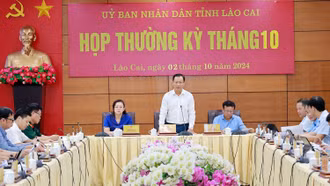 Đặc biệt ưu tiên ổn định đời sống các hộ dân bị ảnh hưởng bởi thiên tai