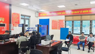 Công an tỉnh Lào Cai: Công bố 9 điểm tiếp nhận hồ sơ cấp đổi, cấp lại giấy phép lái xe