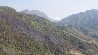 Tăng cường bảo vệ, phòng cháy, chữa cháy rừng trên địa bàn tỉnh