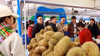 Sức hút nông sản Việt