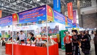 Hàng Việt Nam có sức hút lớn