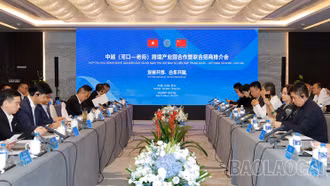 Thu hút đầu tư liên hợp Trung - Việt (Hà Khẩu – Lào Cai)