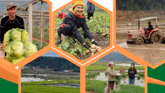 Rộn ràng sản xuất nông nghiệp đầu năm