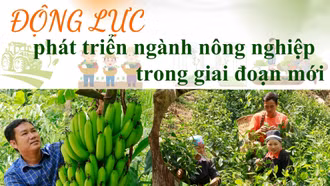 Động lực phát triển ngành nông nghiệp trong giai đoạn mới