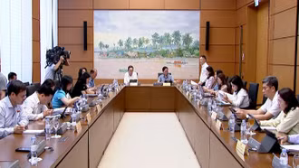 Đại biểu Nguyễn Thị Lan Anh góp ý về Luật Sử dụng năng lượng tiết kiệm và hiệu quả (sửa đổi)