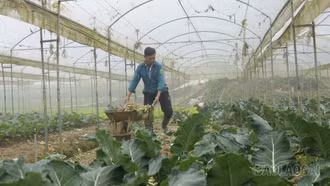 Bảo vệ cây trồng trước thời tiết cực đoan