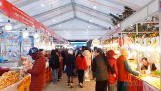 [Ảnh] Nhộn nhịp Hội chợ xúc tiến thương mại Bát Xát - Lào Cai 2026