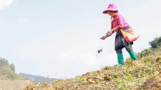 Rộn ràng mùa gieo hạt