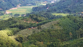 15h ngày 21/9 sẽ chính thức triển khai xây dựng Khu tái định cư Làng Nủ