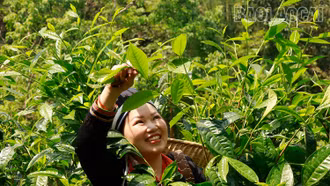 Bắc Hà: Thay đổi tư duy sản xuất nông nghiệp từ Nghị quyết 10