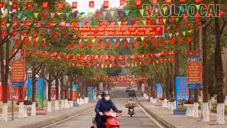 [Ảnh] Rực rỡ cờ hoa mừng Đảng, mừng Xuân