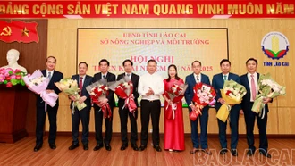 Khẩn trương triển khai các nhiệm vụ thuộc lĩnh vực nông nghiệp và môi trường