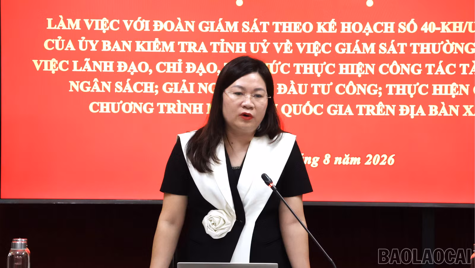 baolaocai-br_ly2-5343.jpg