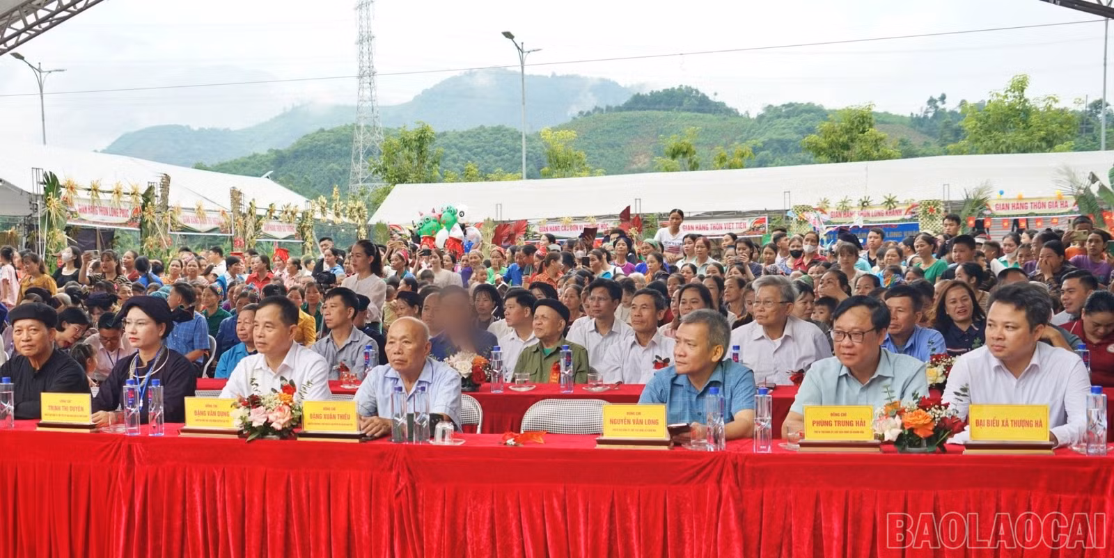baolaocai-br-dsc03486.jpg