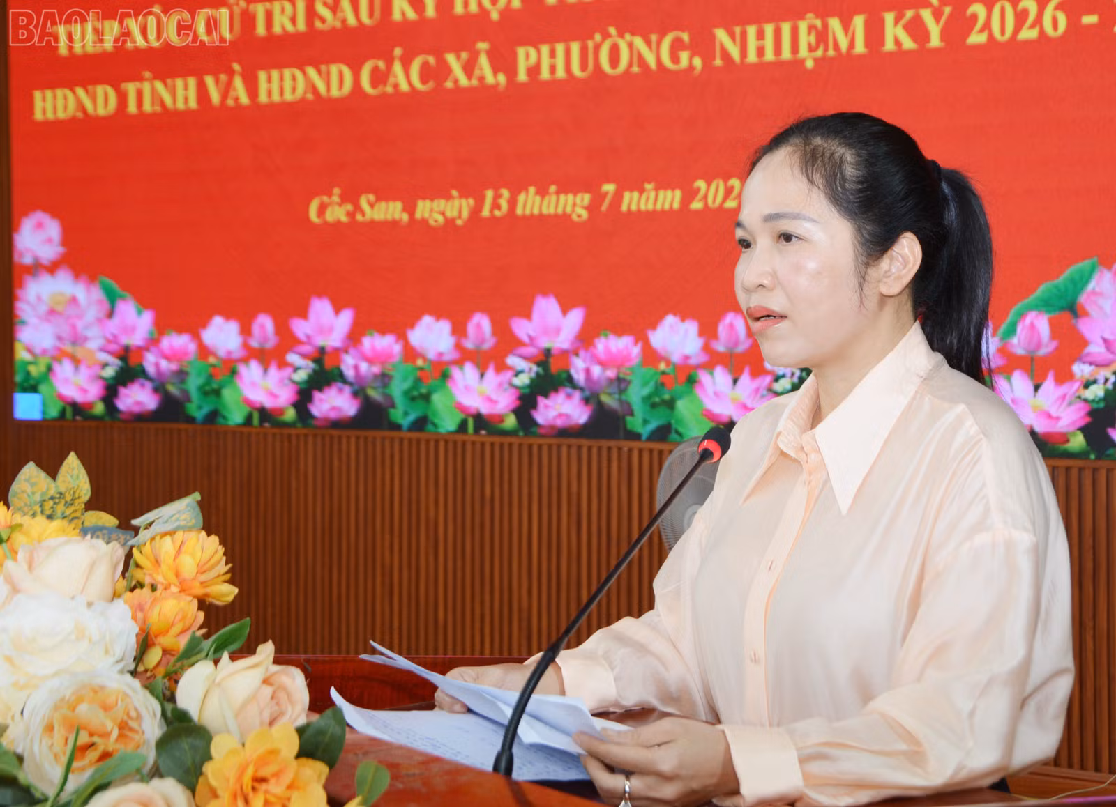 baolaocai-tl_tl-dsc-3535.jpg