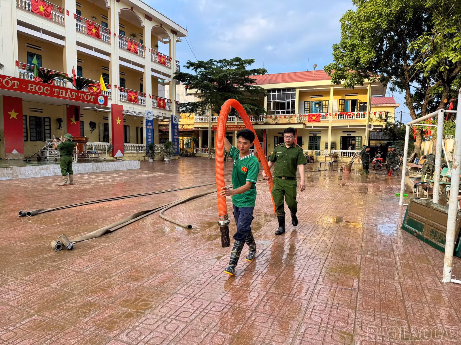 baolaocai-br_anh-10.jpg