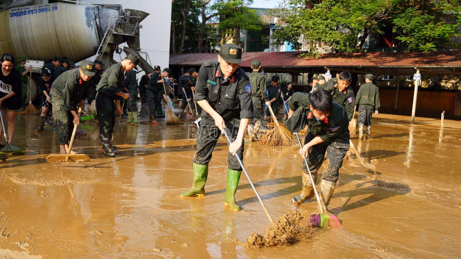 baolaocai-c_anh-2.jpg
