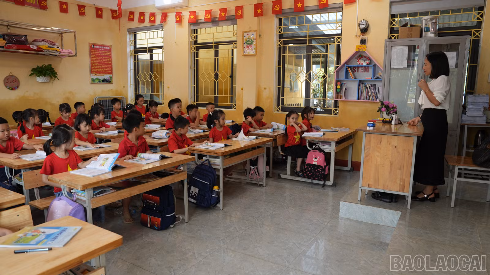 baolaocai-br_anh-7.jpg