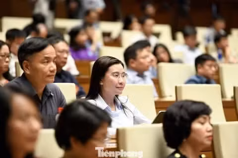 Đại biểu dự hội nghị. Ảnh: Như Ý.