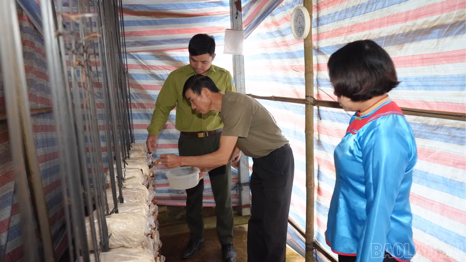 baolaocai-br_huongdan-3742.jpg
