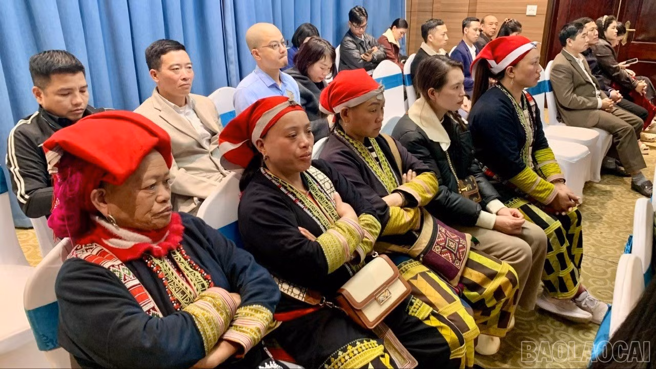 baolaocai-br_z7369783025871-531a4a300cdb3e92c49f2299abbda83b.jpg