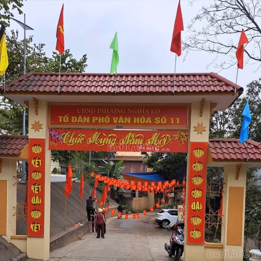 baolaocai-c-to-11.jpg