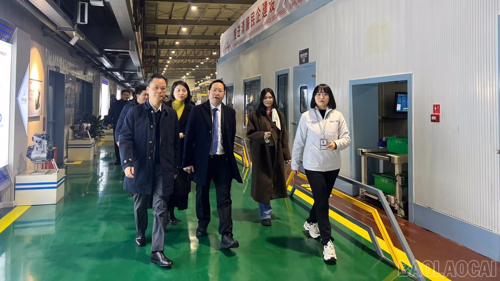 baolaocai-br_3bad994223daac84f5cb47.jpg