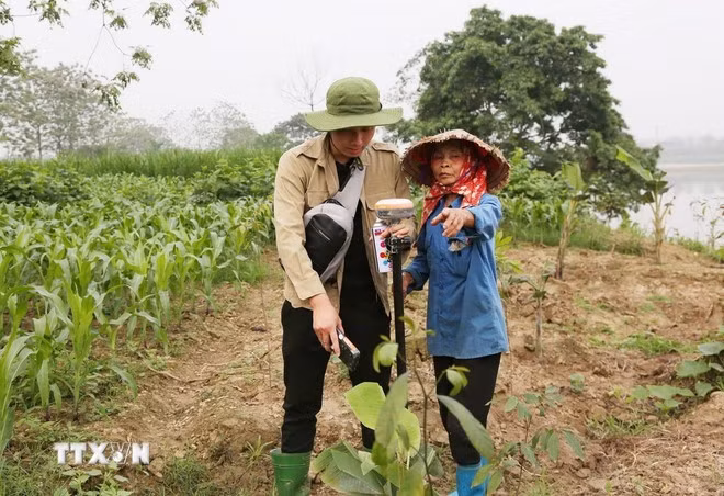 Các đơn vị khảo sát, đo đạc tuyến đường sắt Lào Cai - Hà Nội - Hải Phòng.