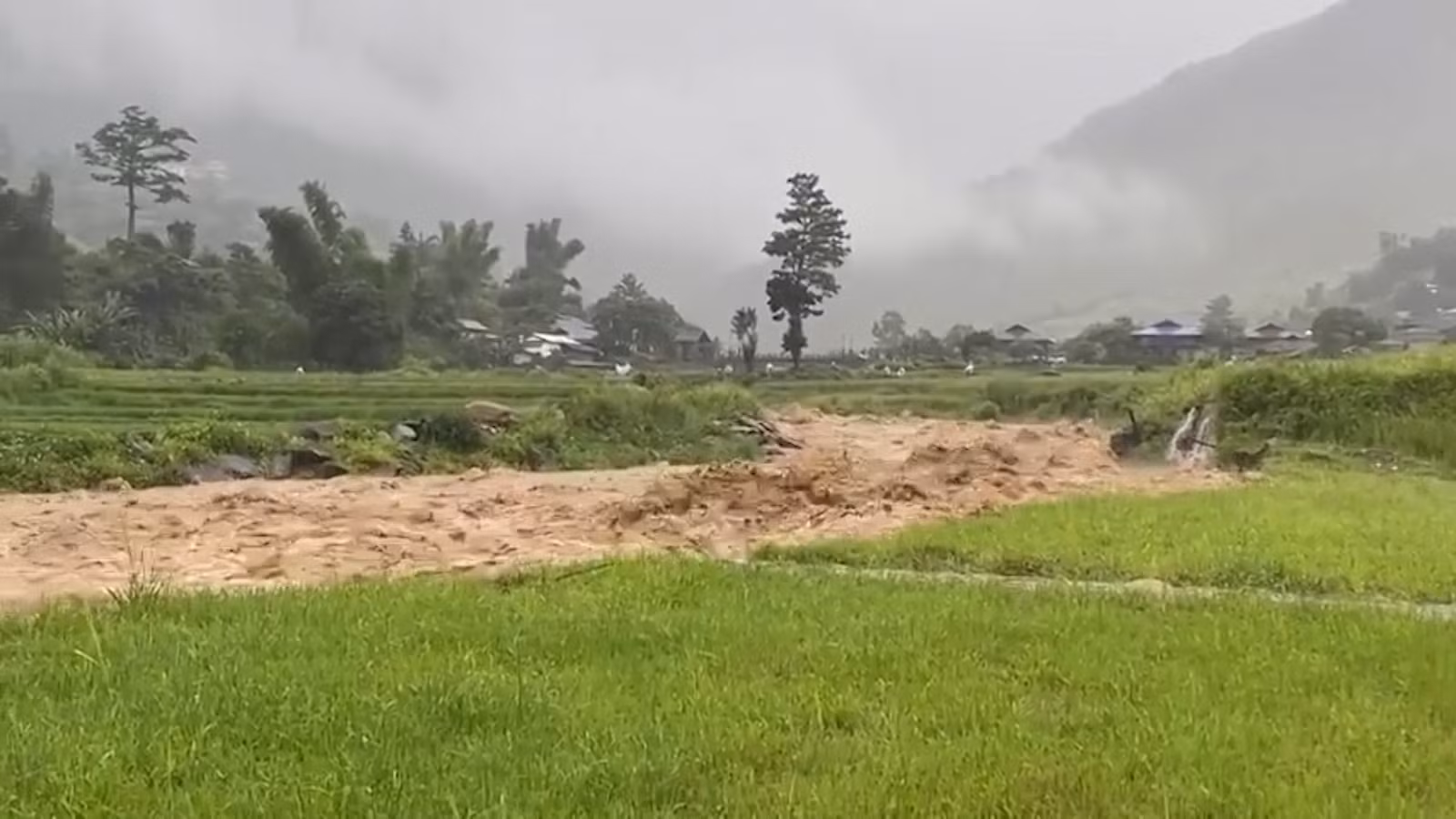 Nước lũ tràn vào cánh đồng, gây ngập úng ở xã Tú Lệ.