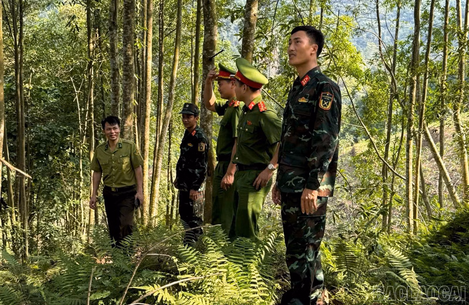 baolaocai-br_ktrarung-3.jpg
