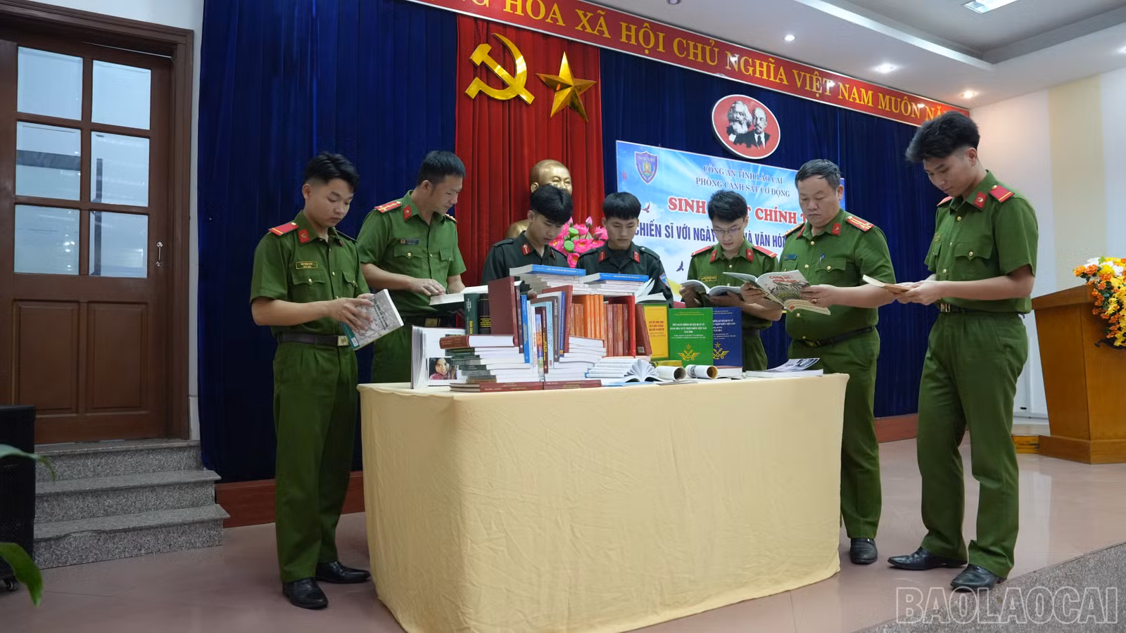 baolaocai-br_anh-7.jpg