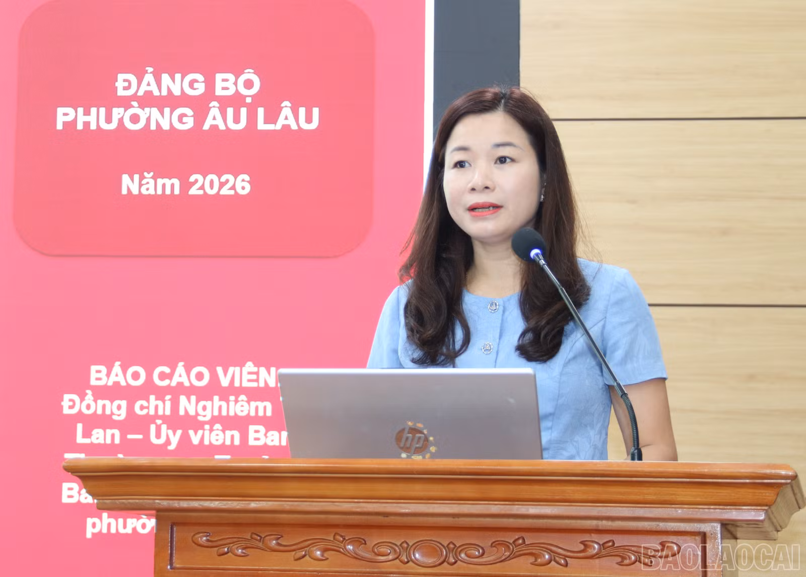 baolaocai-br_daibieual-1.jpg