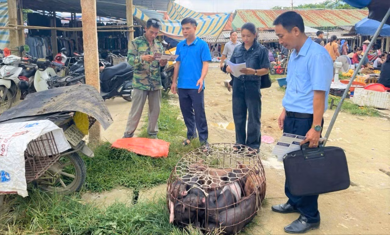can-bo-tram-dich-vu-ho-tro-nong-nghiep-luc-yen-tuyen-truyen-cac-ca-nhan-buon-ban-van-chuyen-lon-thuc-hien-nghiem-tuc-cac-bien-phap-phong-chong-benh-tlcp-tai-cho-xa-tan-linh-8203.jpg