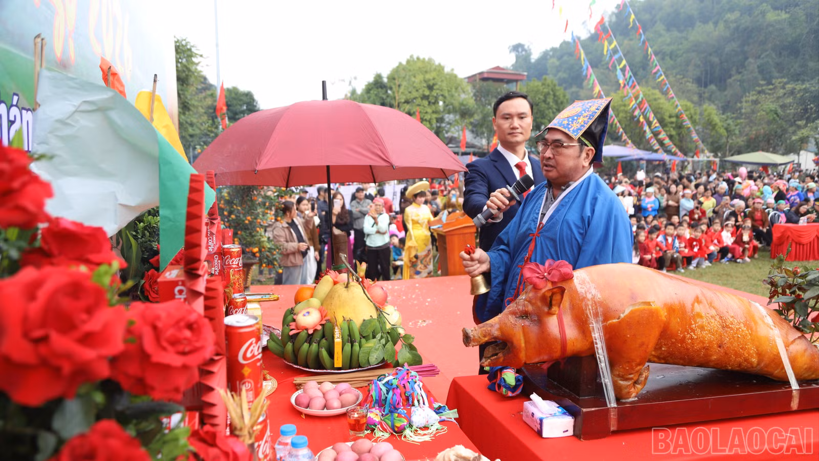 baolaocai-br_4-6383.jpg