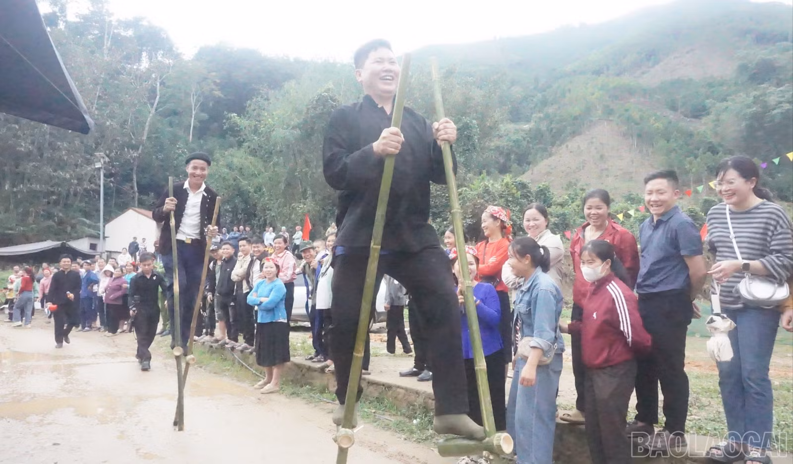 baolaocai-br_dsc06237-6725.jpg
